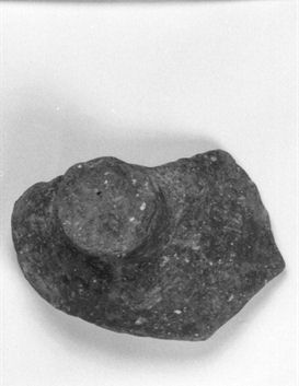 coperchio